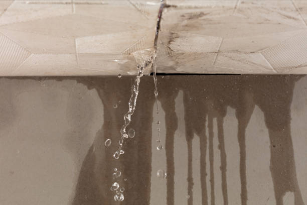 Professional Flood Damage Cleanup technician working in West Elkton, OH